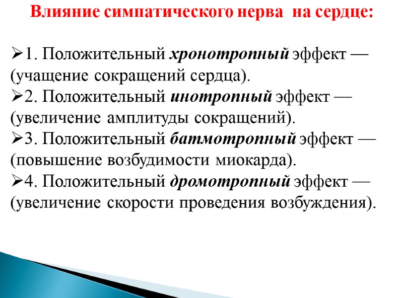 Влияние симпатического нерва  на сердце:  1. Положительный хронотропный эффект —(учащение сокращений сердца).